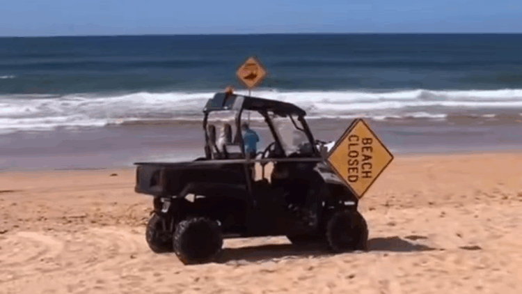 Avustralya'da ölümcül köpek balığı saldırısı