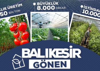 Dünyanın en büyük jeotermal kaynaklı Sera OTB'si kuruluyor