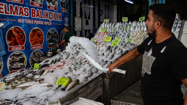 Balık tezgahlarda bollaştı