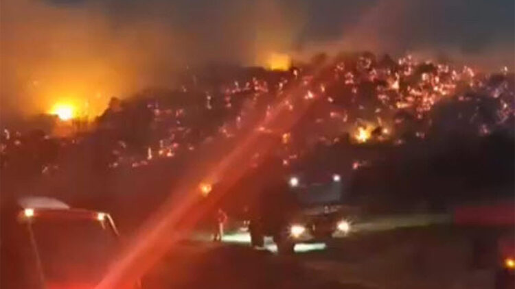 Balıkesir'in Dursunbey ilçesinde orman yangını