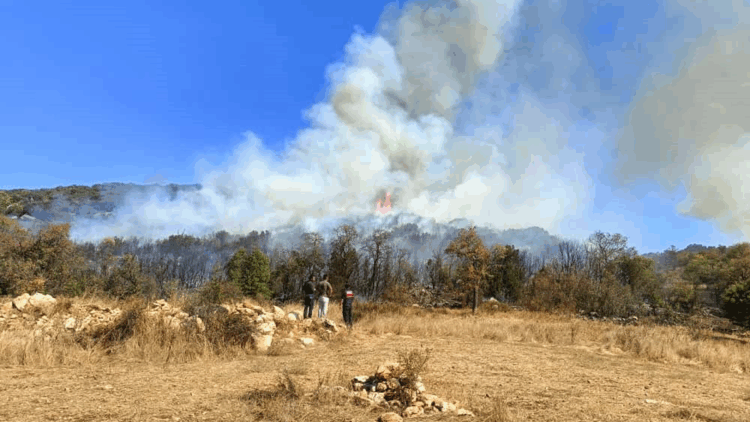 Burdur'un Ağlasun ilçesinde orman yangını