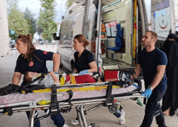 Bursa'da 3'üncü kattan düşen Ayea, ağır yaralandı