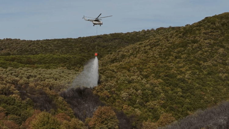 Bursa'da orman yangını 14 saatte söndürüldü
