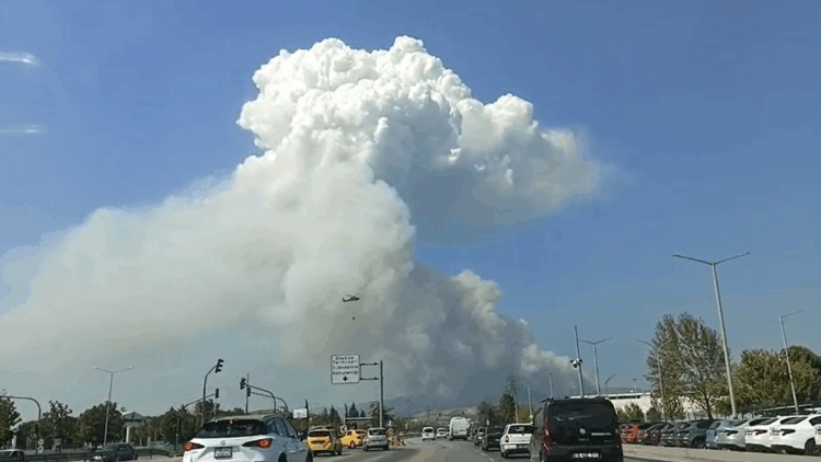 Bursa'nın Osmangazi ilçesinde orman yangını çıktı