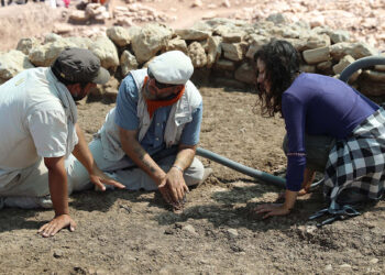 Çayönü Tepesi'nde 9 bin 500 yıllık 'kamusal yapı' gün yüzüne çıkarıldı