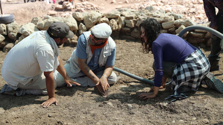 Çayönü Tepesi'nde 9 bin 500 yıllık 'kamusal yapı' gün yüzüne çıkarıldı
