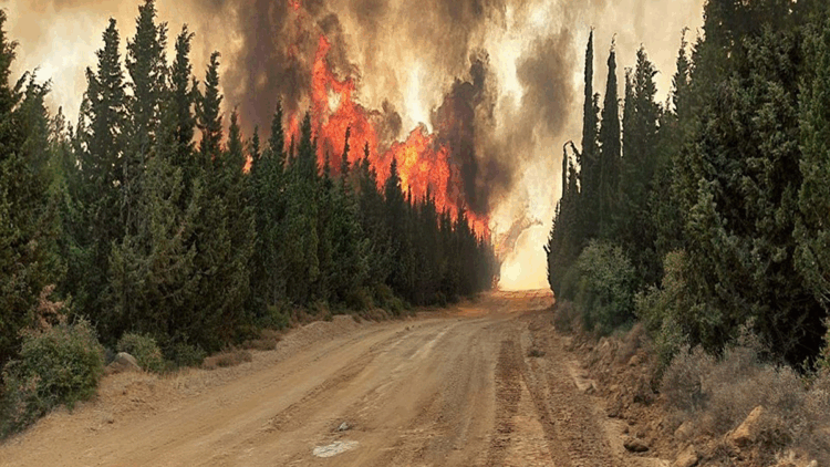 Çanakkale'de orman yangınlarına karşı yeni tedbirler alındı