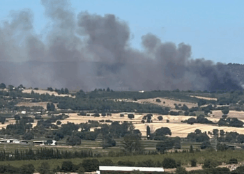 Çanakkale'nin Ezine ilçesinde orman yangını
