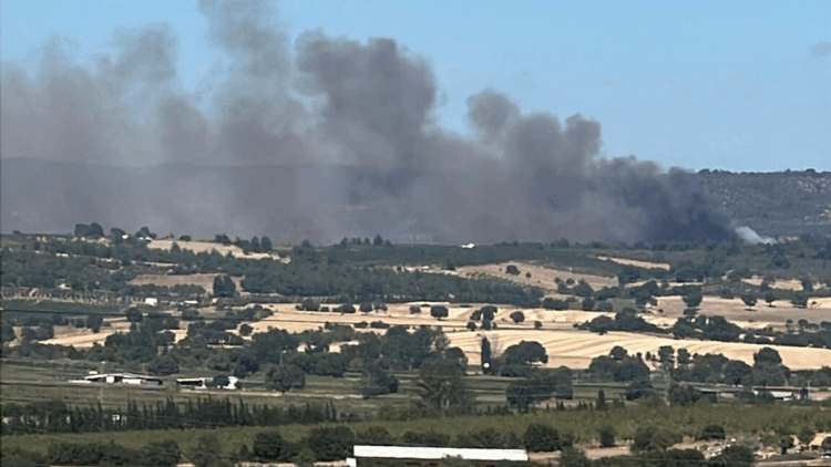 Çanakkale'nin Ezine ilçesinde orman yangını
