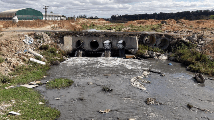 Çorlu Deresi'nde evsel atıkların arıtılmadan verildiği tespit edildi