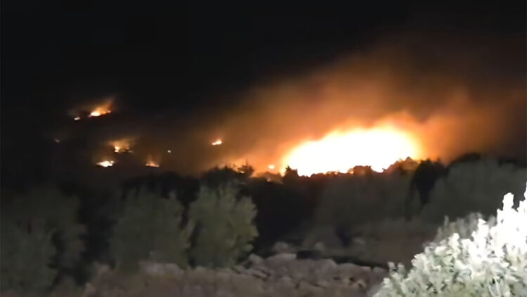 Diyarbakır'daki örtü yangını devam ediyor