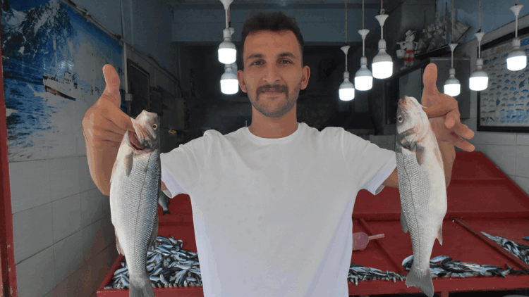 Denizdeki sardalya bolluğu fiyatlara yansıdı