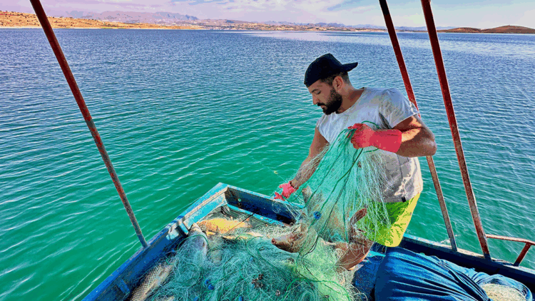 Denizi olmayan Tunceli'de balık avlayarak ayda 200 bin lira kazanıyor