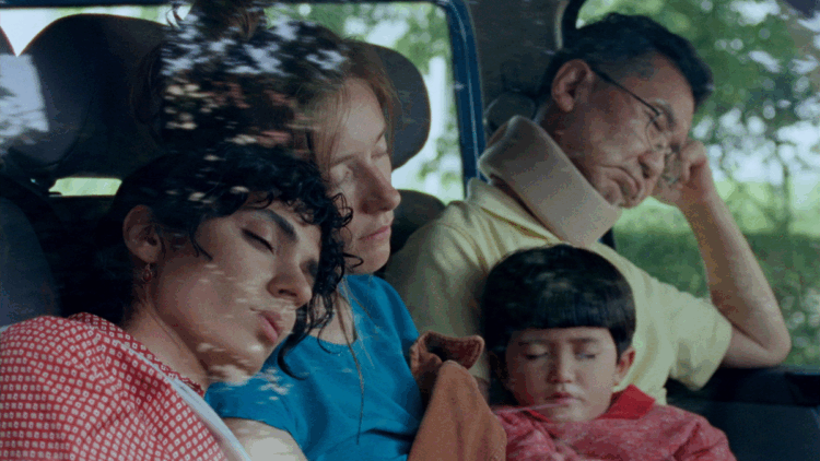 Dünya festivallerinden ödüllü filmler Altın Koza’da izleyiciyle buluşuyor