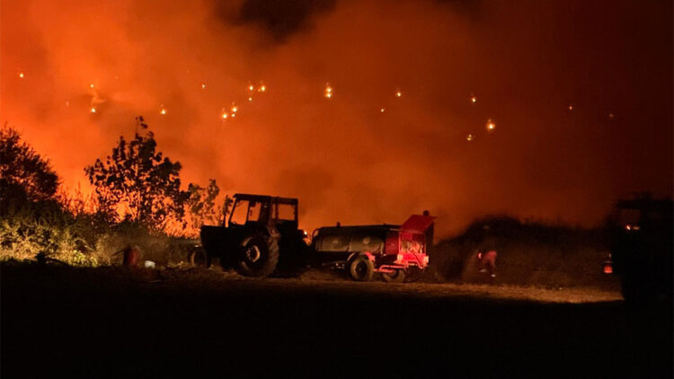 Edirne'de buğday tarlasındaki yangın, ormana sıçramadan söndürüldü