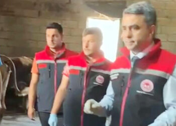 Şap hastalığına karşı aşılama çalışması sürüyor