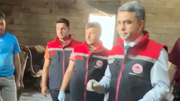 Şap hastalığına karşı aşılama çalışması sürüyor