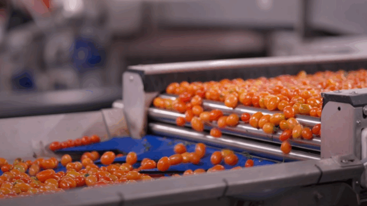 Egemas, 60. yılında endüstriyel dönüşüm hamlesi başlatıyor