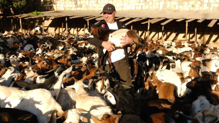 Gönüllü Vesileler Derneği Afrika'da ailelere süt keçisi dağıttı