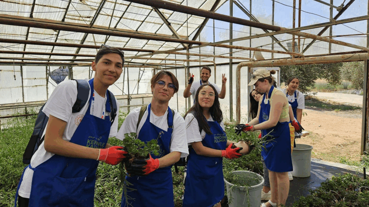 Gençlere 'dijital detoks'