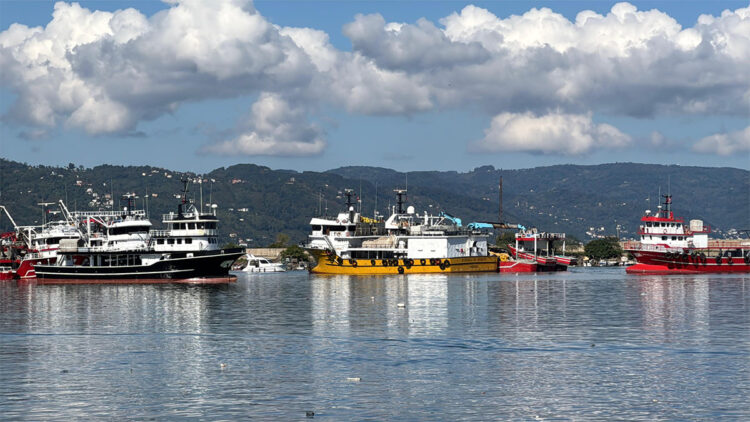 Hava şartları normale döndü, balıkçılar bol miktarda hamsiyle geldi