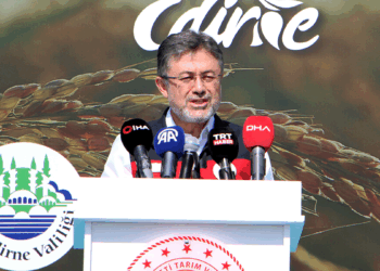 Halkımızın pirinç ihtiyacının yüzde 72'sini kendi topraklarımızda üretiyoruz
