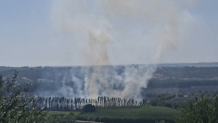 Hevsel Bahçeleri'nde çıkan anız yangını söndürüldü