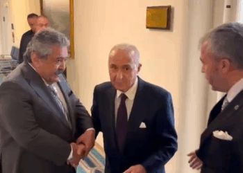 Hikmet Çetin, MHP'li Yıldız ile görüştü