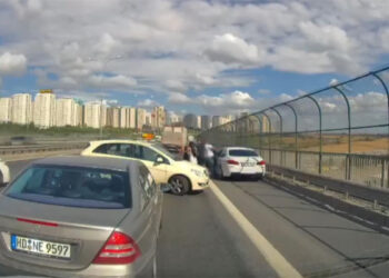 kediyi kurtarmaya çalışan kadına otomobil çarptı