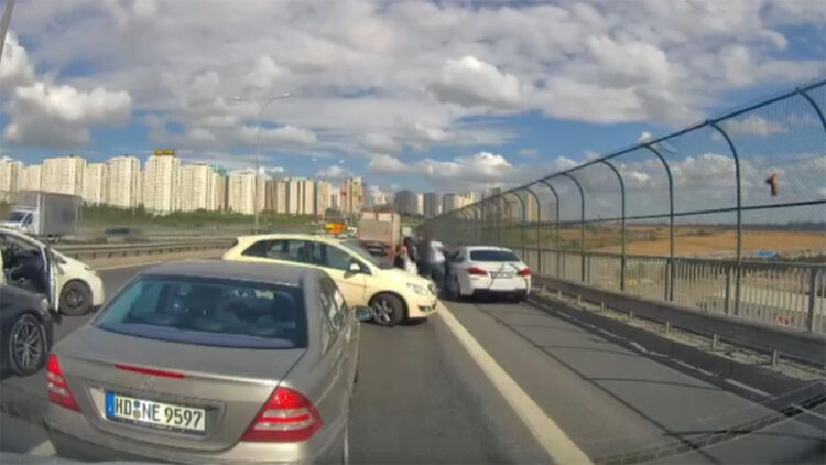 kediyi kurtarmaya çalışan kadına otomobil çarptı