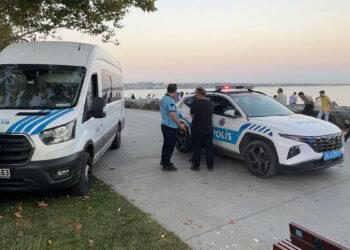 Avcılar'da yanındaki kadını darbetti