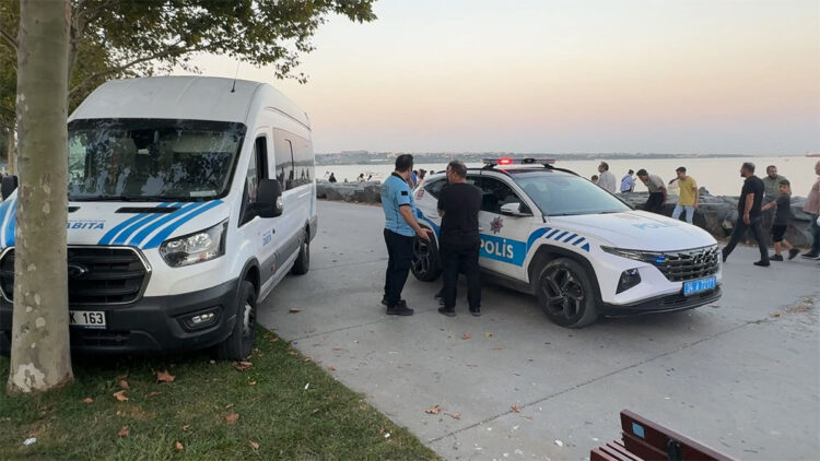 Avcılar'da yanındaki kadını darbetti