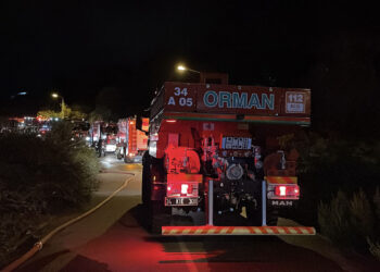 Beykoz'da orman yangını büyümeden söndürüldü