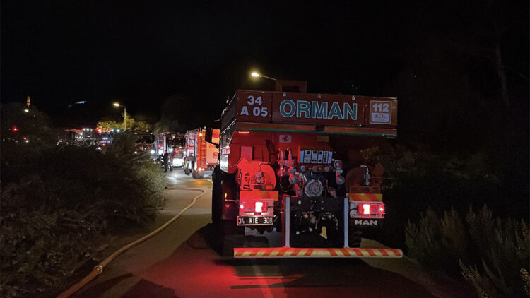 Beykoz'da orman yangını büyümeden söndürüldü