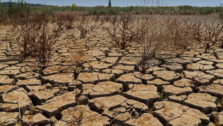 Kuraklığın etkisi ekimdeki yağışlarla da geçmeyecek