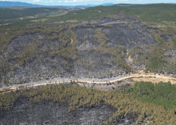 Karabük ve Kastamonu'da orman yangınlarına müdahale sürüyor