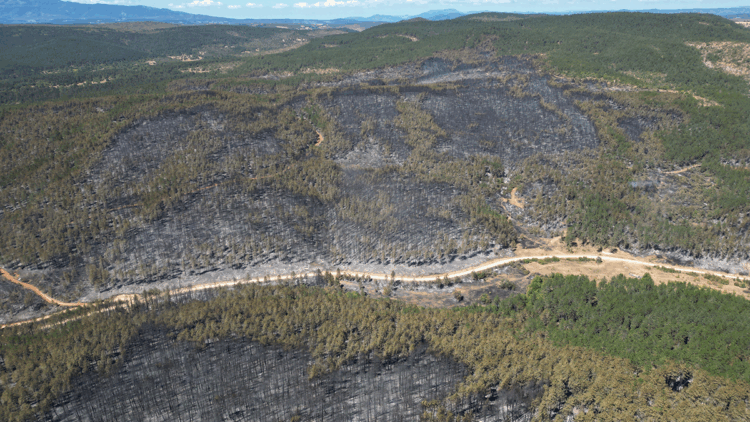 Karabük ve Kastamonu'da orman yangınlarına müdahale sürüyor