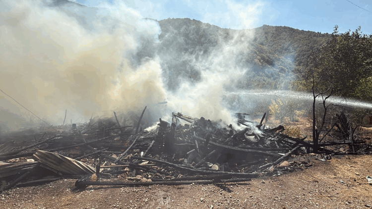 Karabük'te evde çıkan yangın, ormana sıçradı