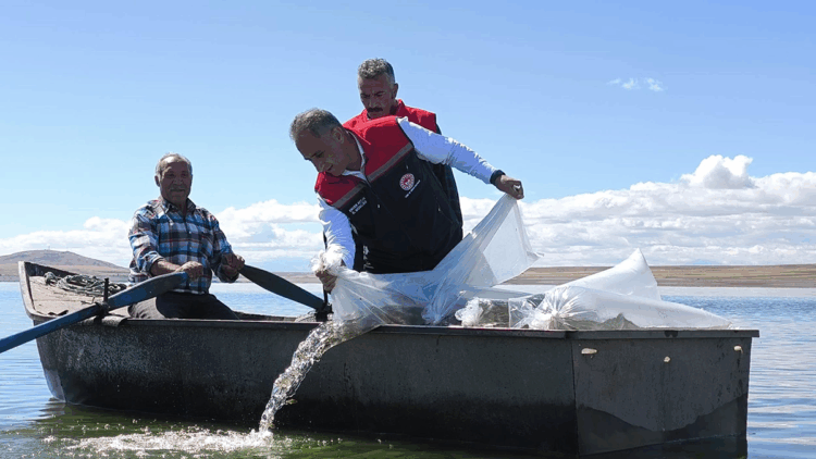Kars’ta göl ve göletlere 500 bin yavru sazan bırakıldı