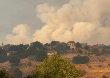 Kastamonu'daki orman yangınları 2'nci gününde