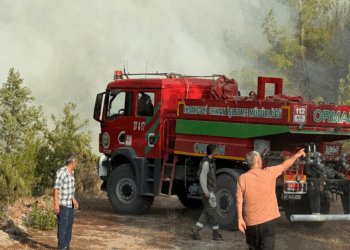 Kastamonu'daki orman yangınları 3'üncü gününde