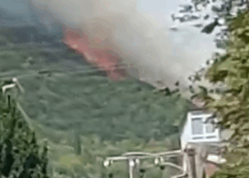 Kocaeli'nin İzmit ilçesinde ormanda yangın