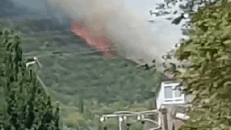 Kocaeli'nin İzmit ilçesinde ormanda yangın