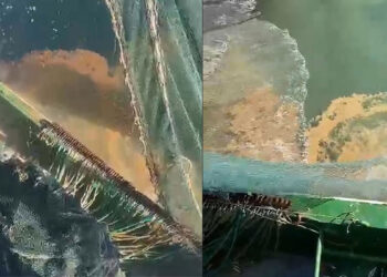 Marmara Denizi'nin güneyinde müsilaj tehdidi