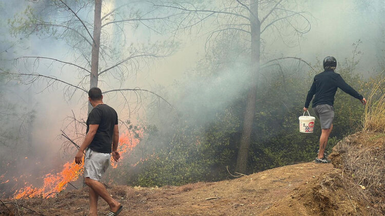 Köyceğiz'deki orman yangınında 58 ev boşaltıldı
