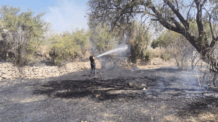 Mardin'in 2 ilçesinde örtü yangını