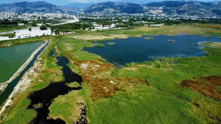 Milleyha Sulak Alanı, 'Doğal Sit Alanı' olarak tescil edildi