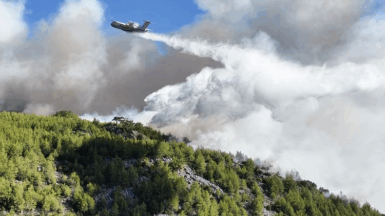 Muğla Köyceğiz'deki orman yangınında 2'nci gün