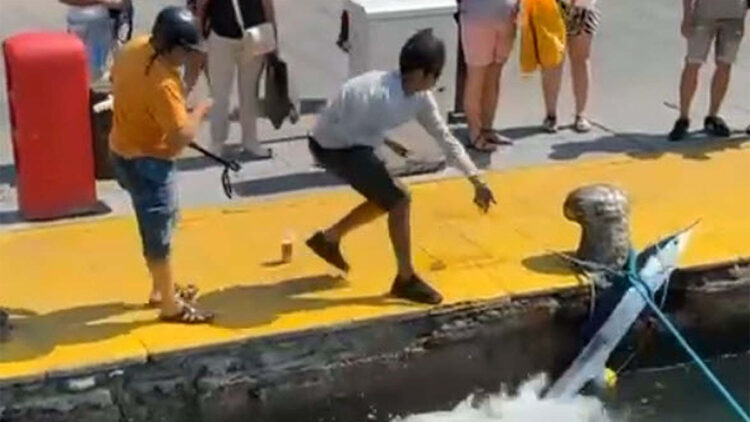 Nesli tükenme tehlikesi olan ‘mavi yelken balığı’nı zıpkınla vurdu