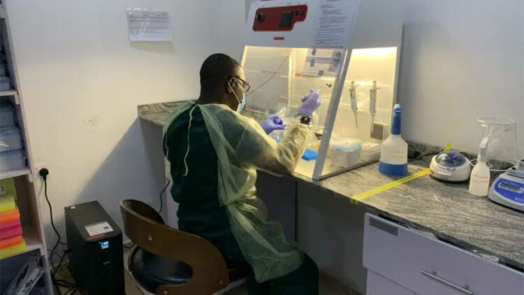 Lassa ateşi salgınında 162 kişi öldü